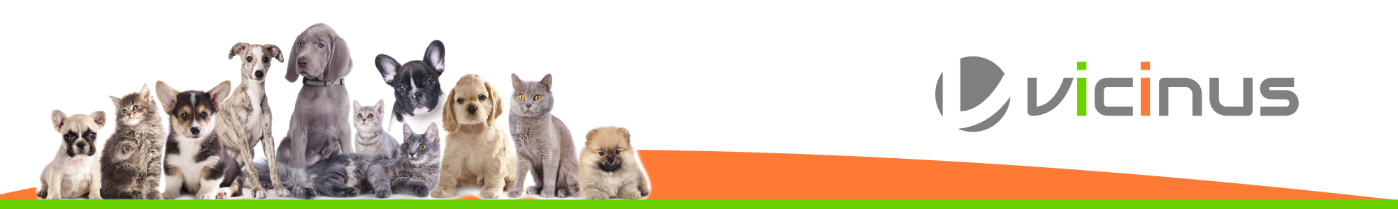 Header Vicinus Header Vicinus