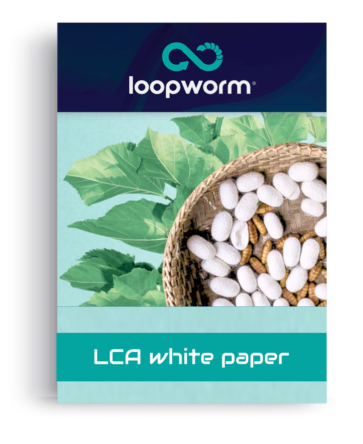Loopworm LCA whitepaper